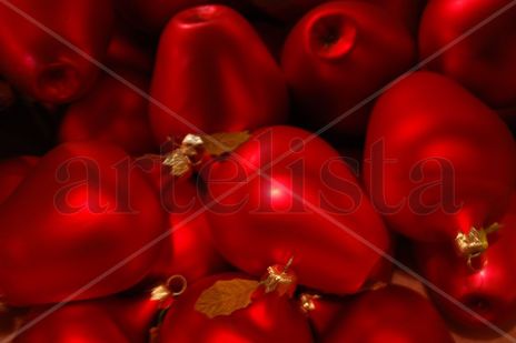 Rojas