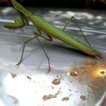 fotoarteenlacalle thumbnail 1
