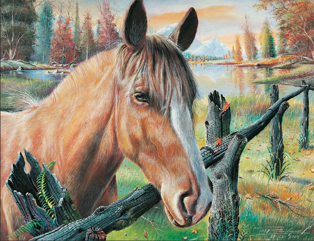 Nobleza Oil Canvas Animals