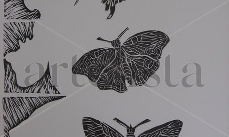 Serie de Mariposas, Vuelos y Tramas