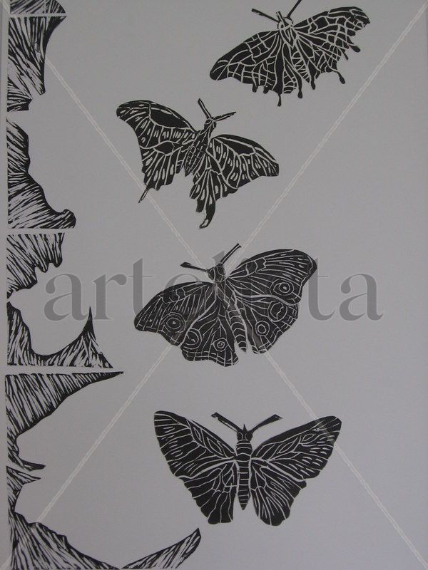 Serie de Mariposas, Vuelos y Tramas