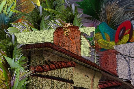 Selva tropical