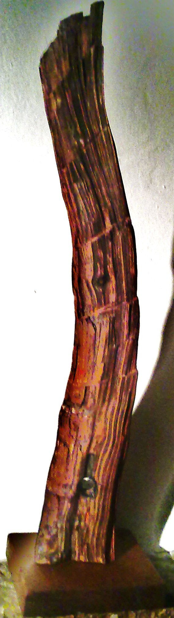 ENIGMA REMEDY