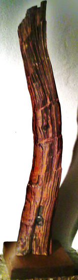 ENIGMA REMEDY Wood Abstract