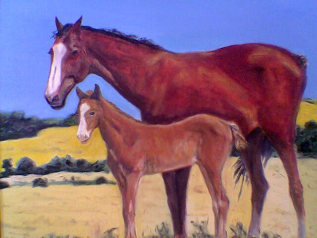 cavalls