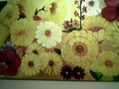 girasoles