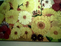 Girasoles