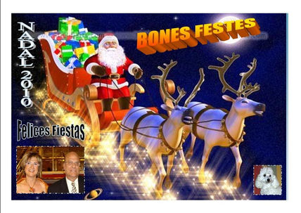 Felices fiestas
