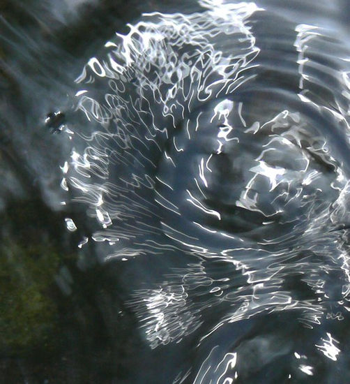 La danza del agua y la luz 