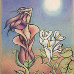 Dibujos thumbnail 2