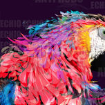 Explosion de colores thumbnail 1