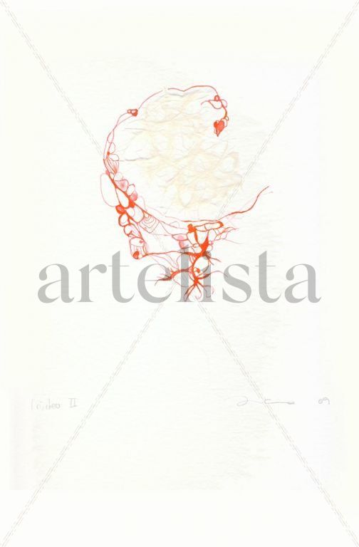 Nucleo II