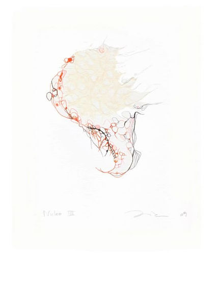 Nucleo III