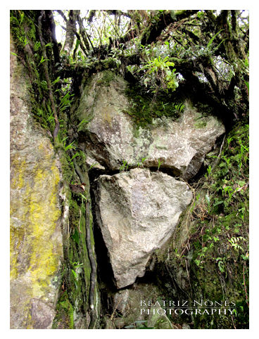 Piedra Sagrada