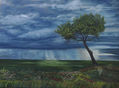 MEDITERRANEO