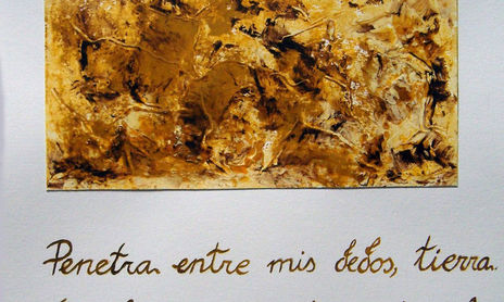 Los cuatro elementos
