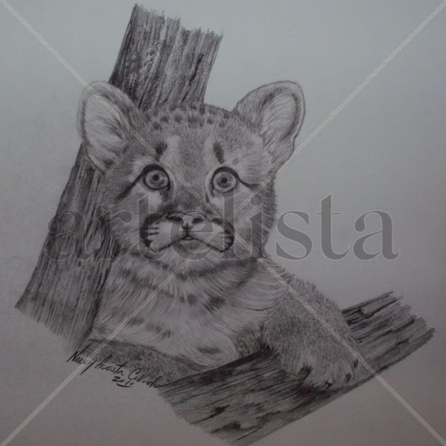 puma bebe
