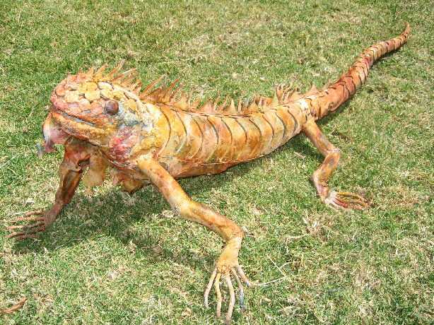 IGUANA I Otros Otros