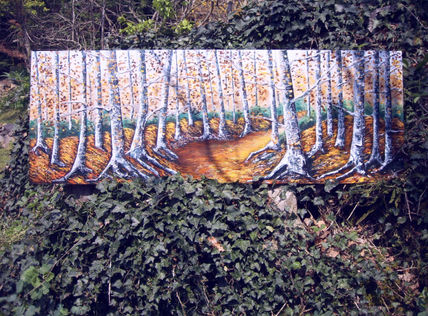 Fageda a la tardor....