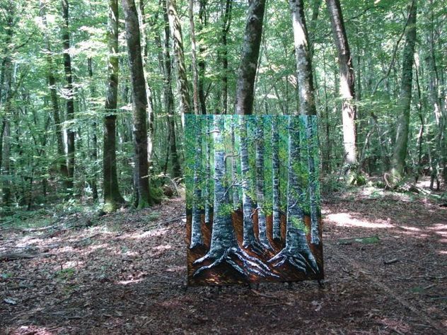 Hayedo en primavera. Fageda en primavera.