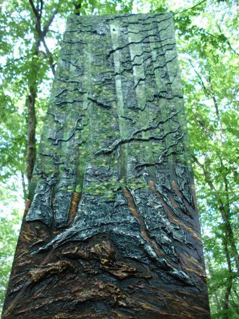 Fageda en primavera. Hayedo en primavera.