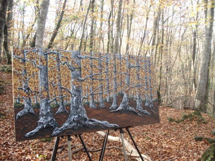 Fageda al novembre....