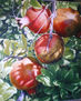 granadas