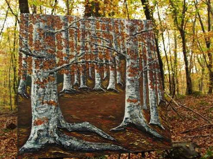 Fageda al novembre....