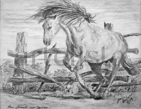 Freedom (Mustang)