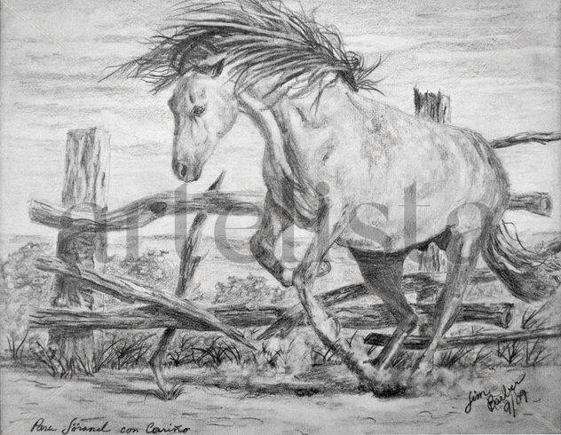 Freedom (Mustang)