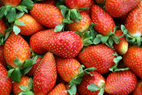 Fresas