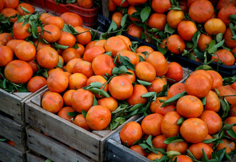 Mandarinas