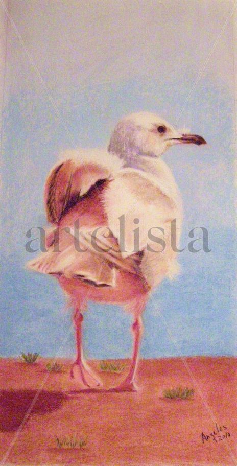 Gaviota moviendo el...
