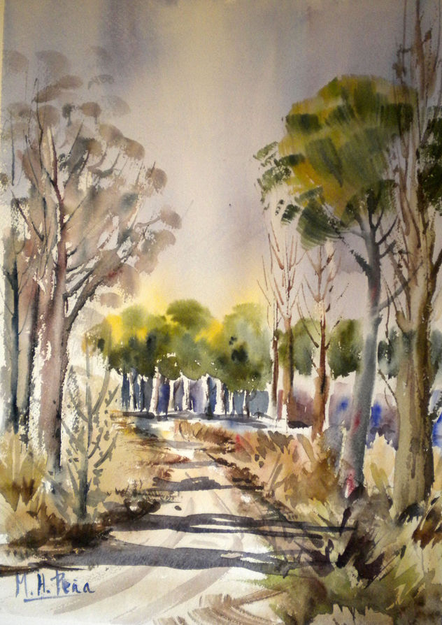 El pinar de Puenteduero