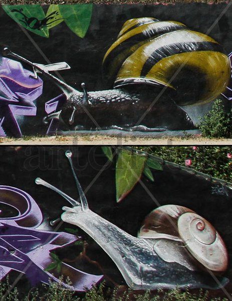 Naturaleza 1