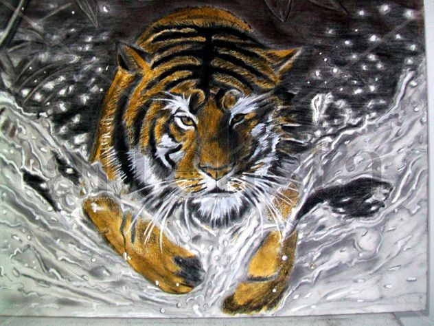 tiger on water