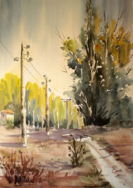 Camino hacia el pinar