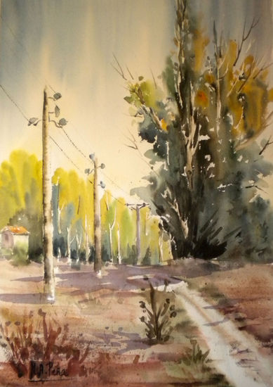 Camino hacia el pinar Watercolour Paper Landscaping