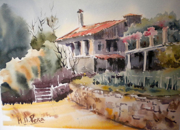 Masia Oil Canvas Landscaping