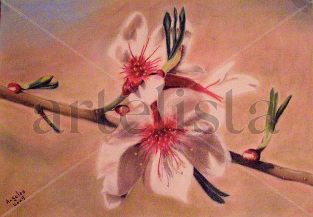 Flores de almendro Pastel Paper Floral Painting