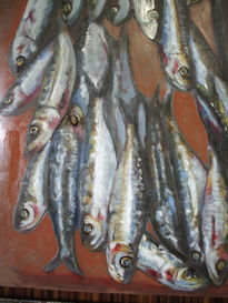 Boceto-sardinas