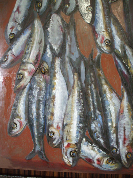 Boceto-sardinas