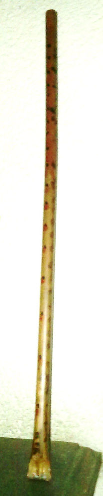 Bufaestufa