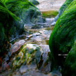 Gaia (fotografia) thumbnail 2
