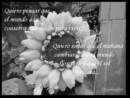 Quiero