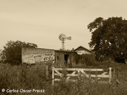 Tapera 1