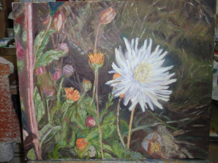 Flores de jardin