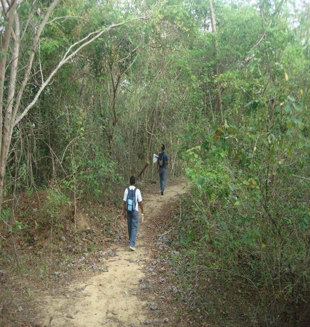 SENDERISMO Y CAMINATAS
