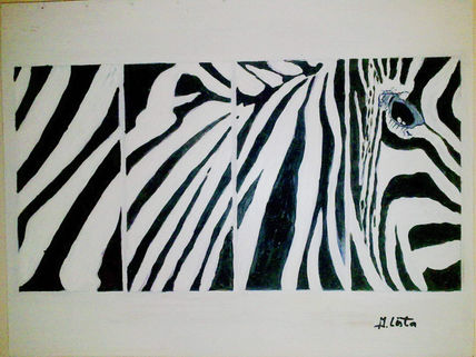 Zebra