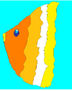 bajo el mar
